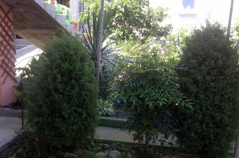 Частный дом «Леона»