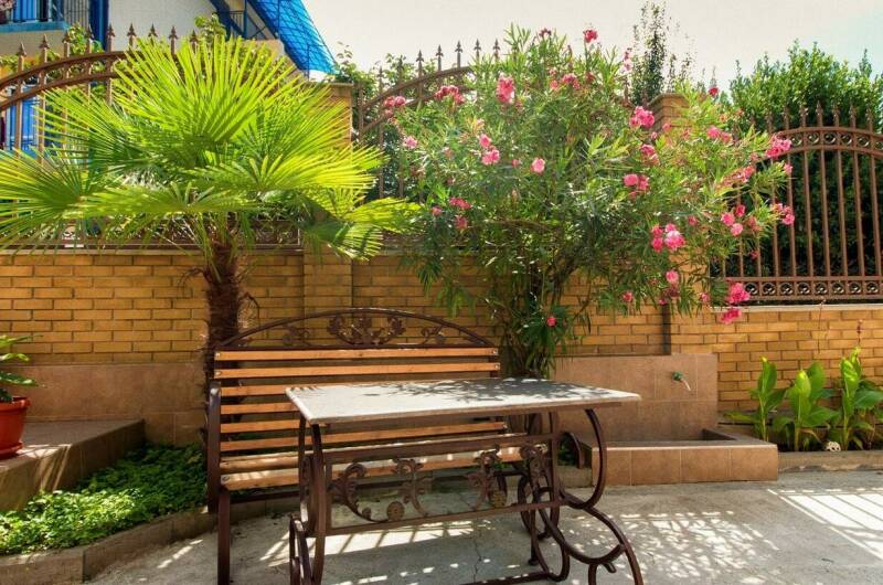 Гостевой дом «Асхо»