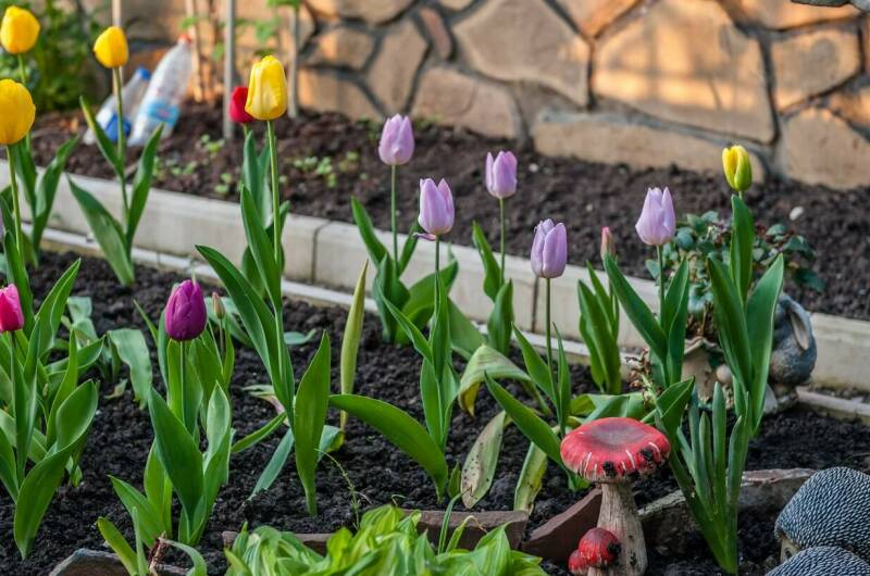 Гостевой дом «Атон»