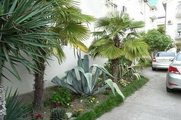 Гостевой дом «Надежда»