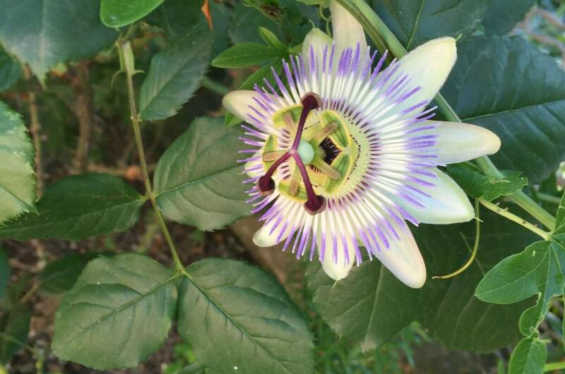 Гостевой дом «У Анны»