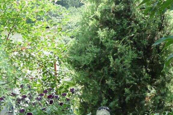 Частный сектор «Марина»