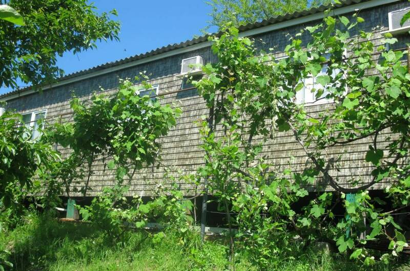 Частный сектор «Марина»