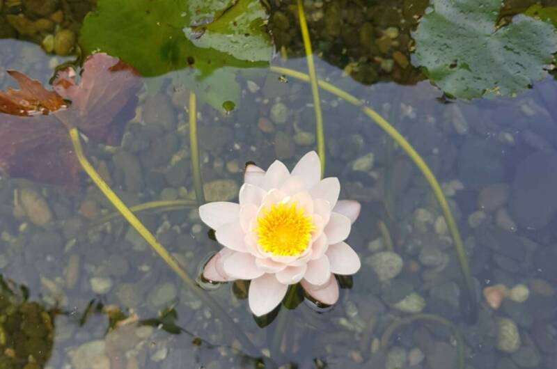 Гостевой дом «Маяк»