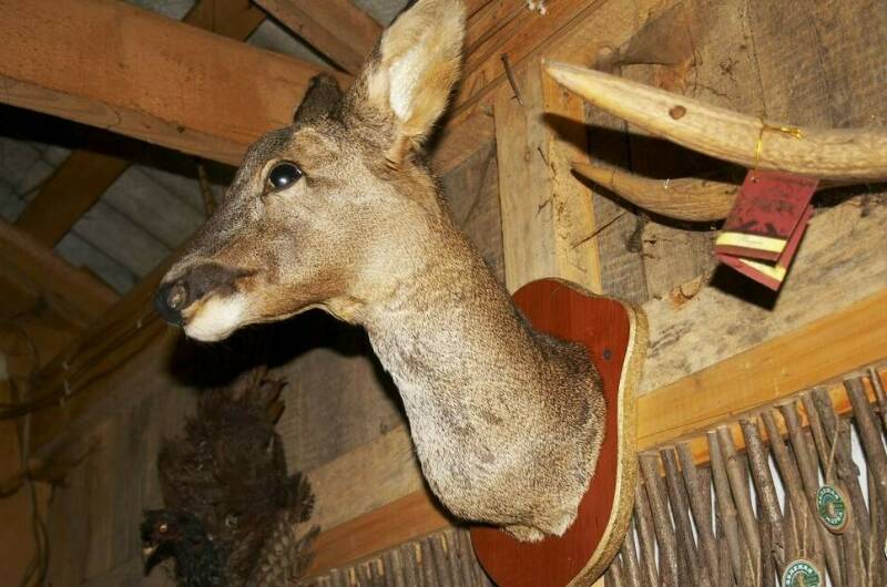 Частная гостиница «Летняя»