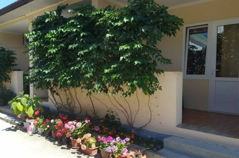 Гостевой дом «Карина»