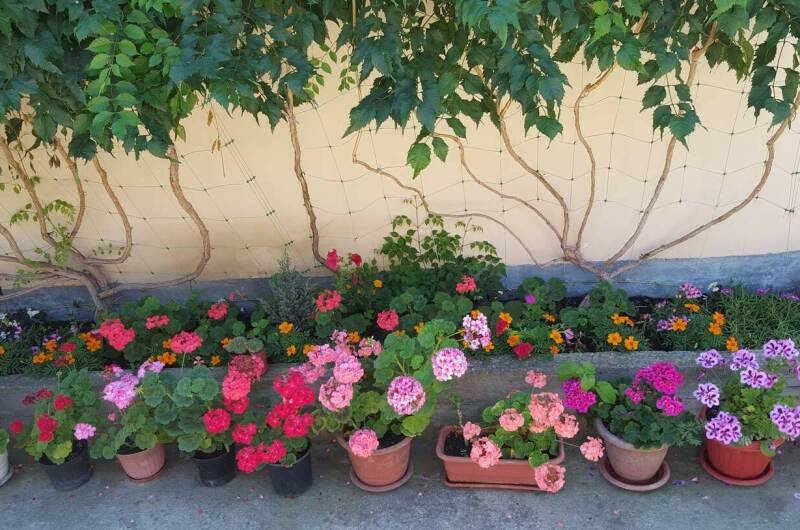 Гостевой дом «Карина»