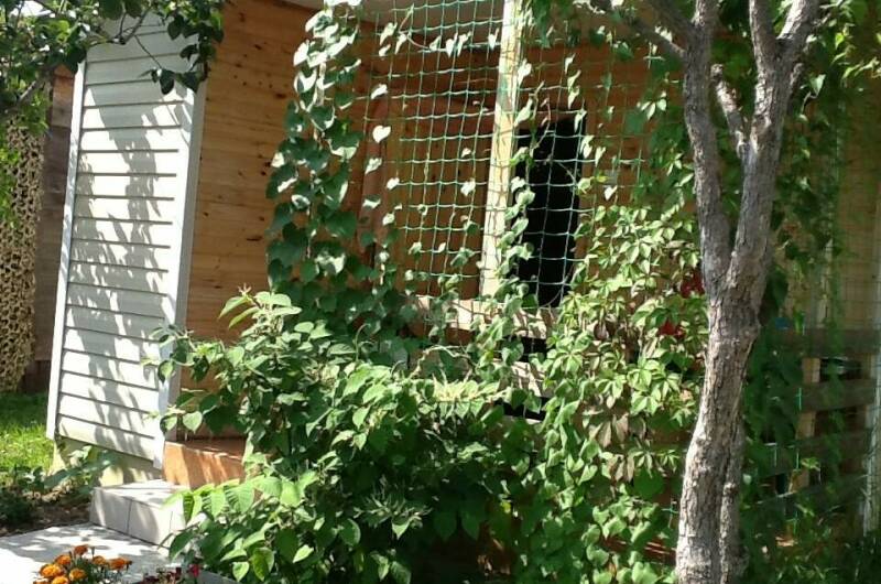 Гостевые домики «Лидия»