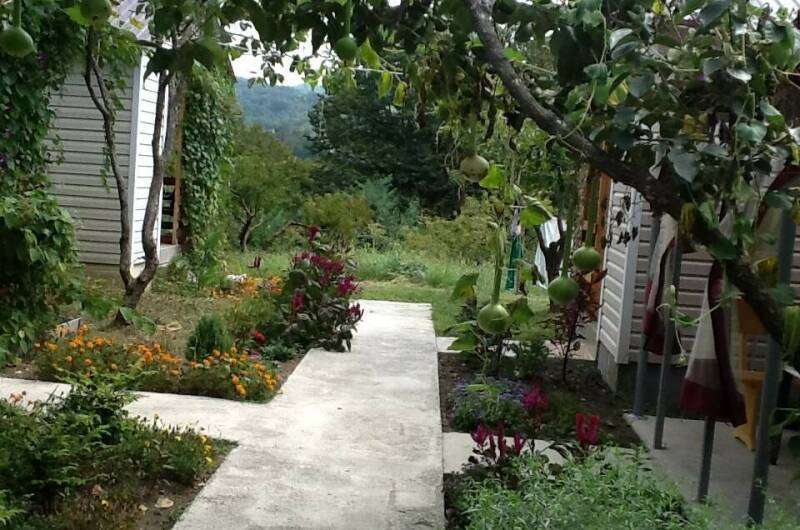 Гостевые домики «Лидия»