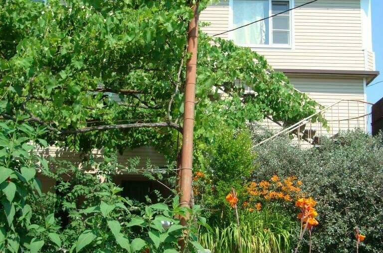 Гостевые домики «Лидия»