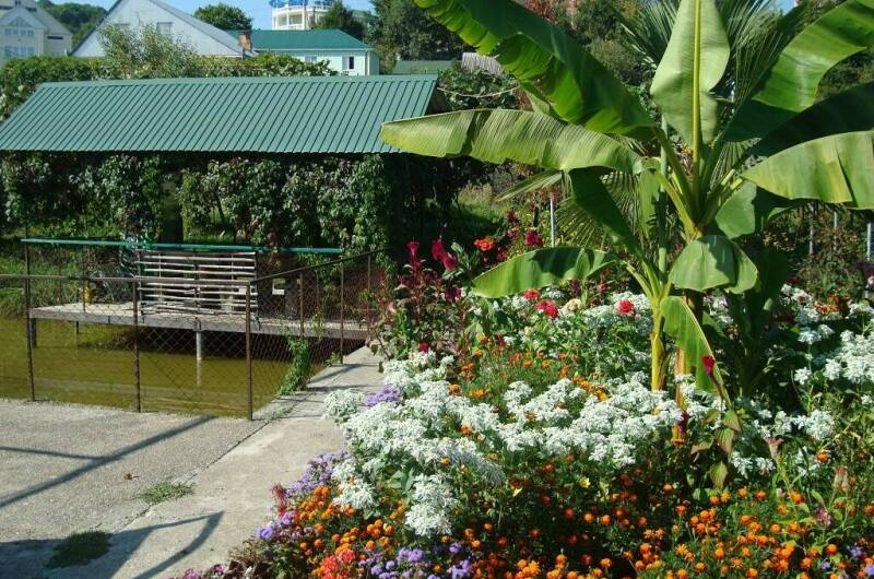 Гостевые домики «Лидия»