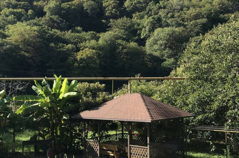 Гостевой дом «Зеленый рай»