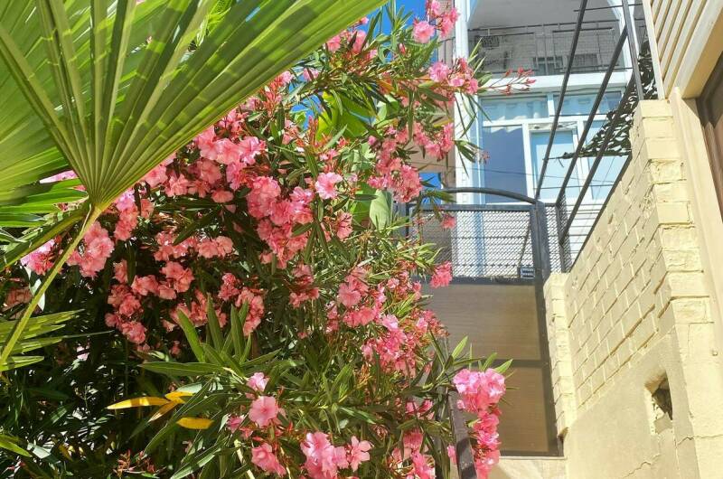 Гостевой дом «Эльмар»