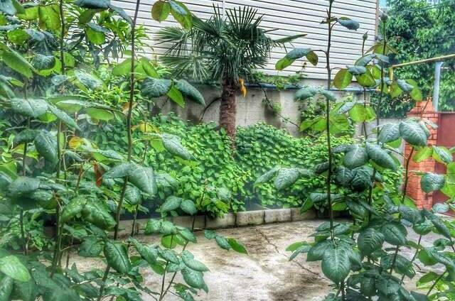 Гостевой дом «Вероника»