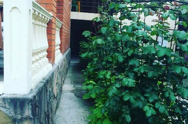 Гостевой дом «Вероника»