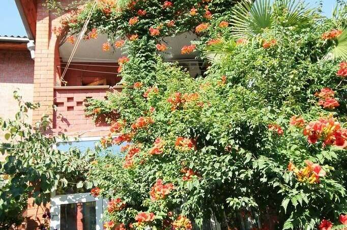 Гостевой дом «У тети Вали»