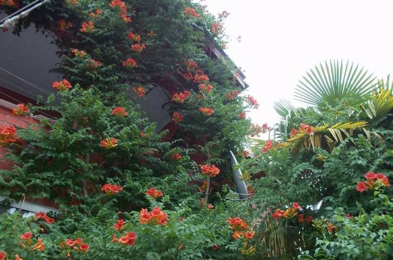 Гостевой дом «У тети Вали»