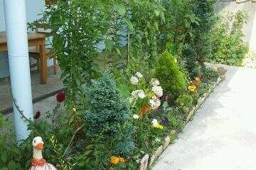 Гостевой дом «У Андрея»