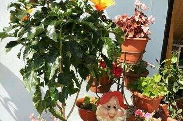 Гостевой дом «У Андрея»