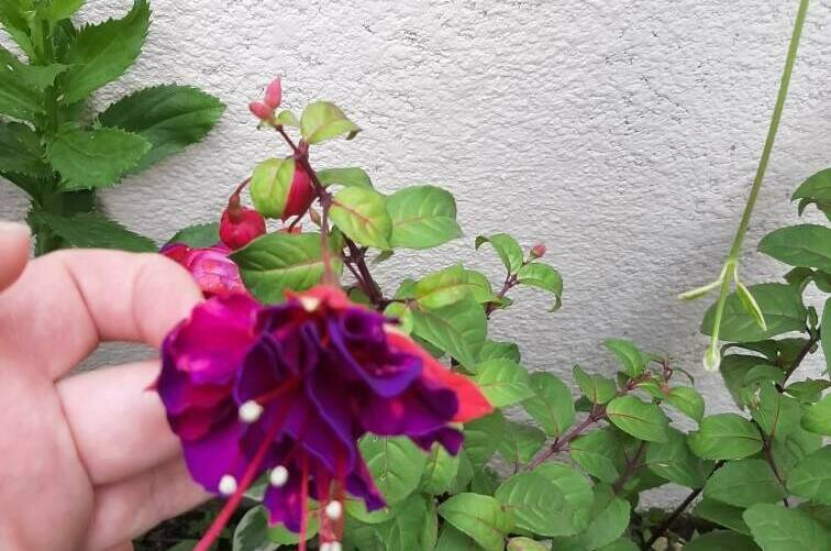 Гостевой дом «Зеленая горка»