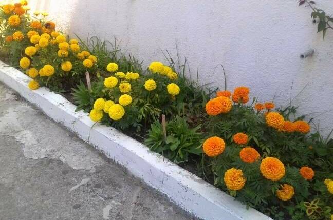 Гостевой дом «Зеленая горка»