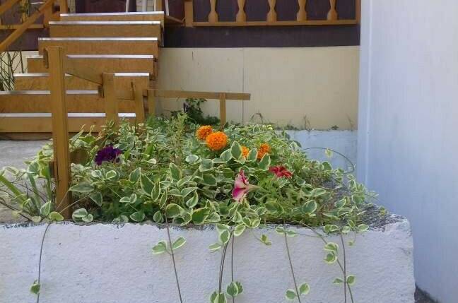 Гостевой дом «Зеленая горка»