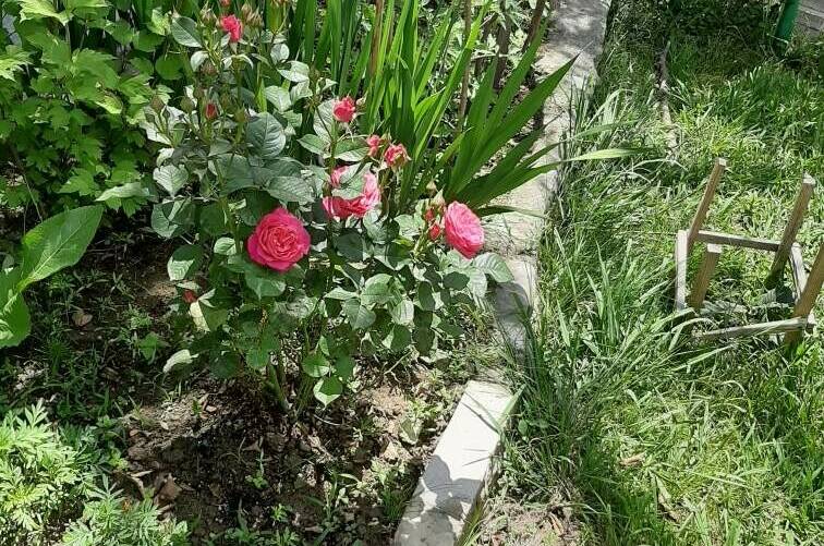 Гостевой дом «Зеленая горка»