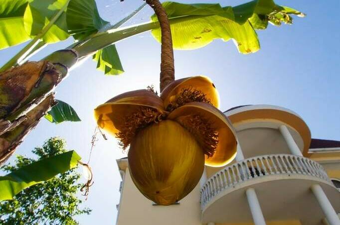 Гостиница «Рената»