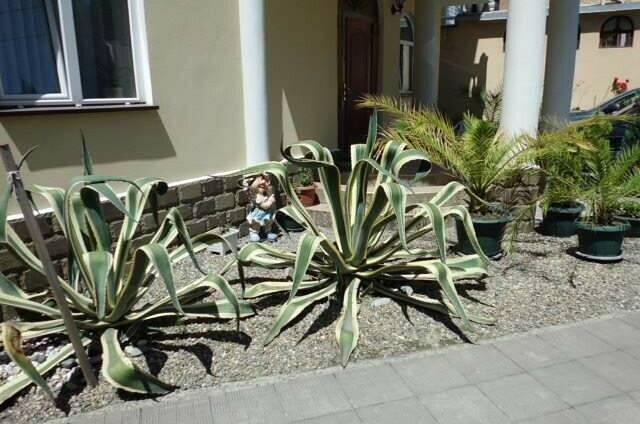 Гостиница «Рената»