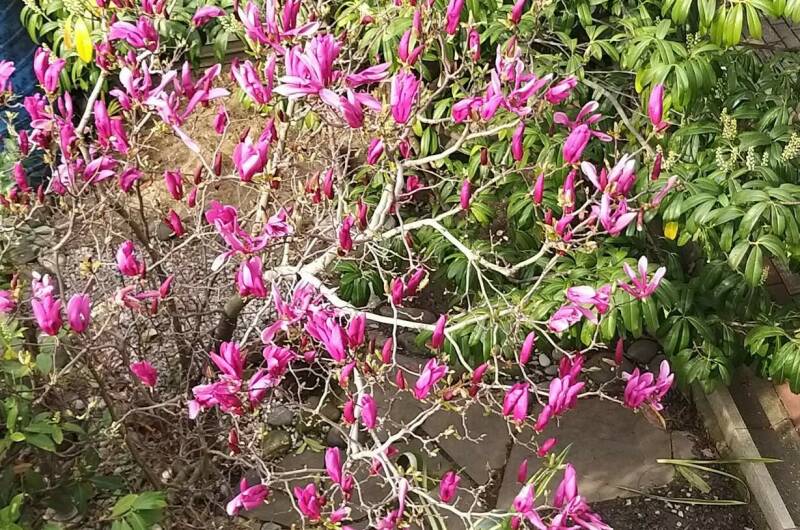 Мини-отель «Итинисан» (1 2 3)