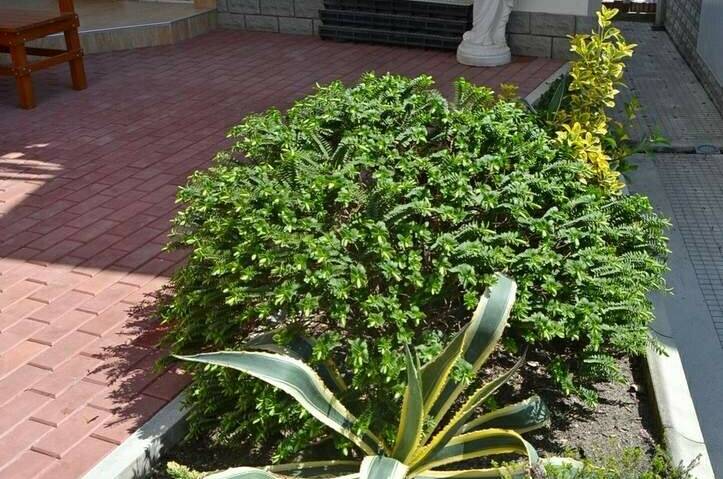 Мини-отель «Итинисан» (1 2 3)