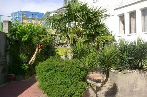 Мини-отель «Итинисан» (1 2 3)