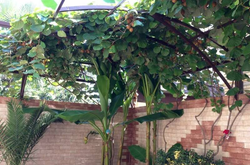 Отель «Маргарита»