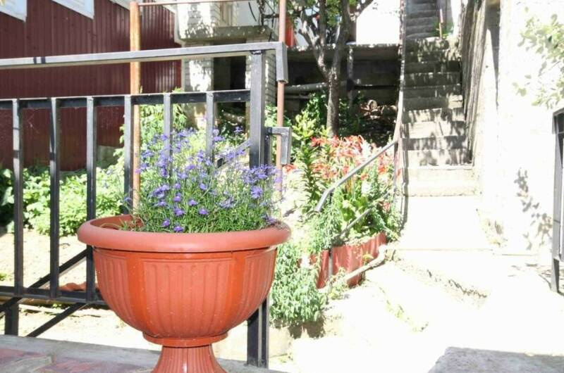 Гостевой дом «Максим»