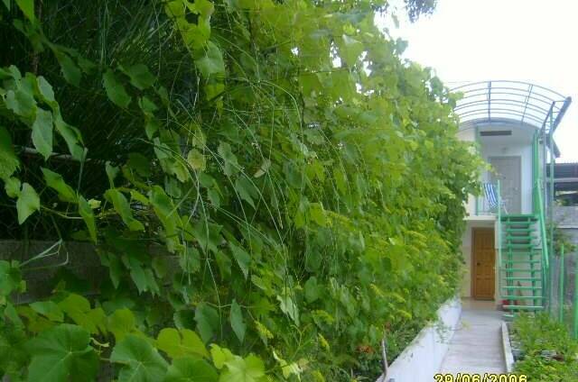 Гостевой дом «У Николая»