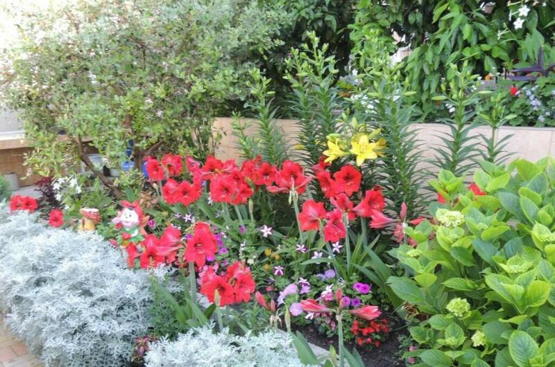 Гостевой дом «У Николая»