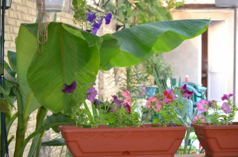 Гостевой дом «Солнечный»