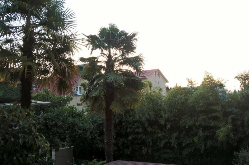 Гостевой дом «Сабрина»