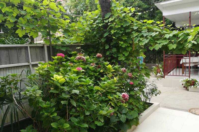 Гостевой дом «Сабрина»