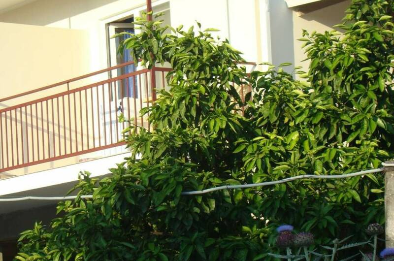 Гостевой дом «Бригантина»