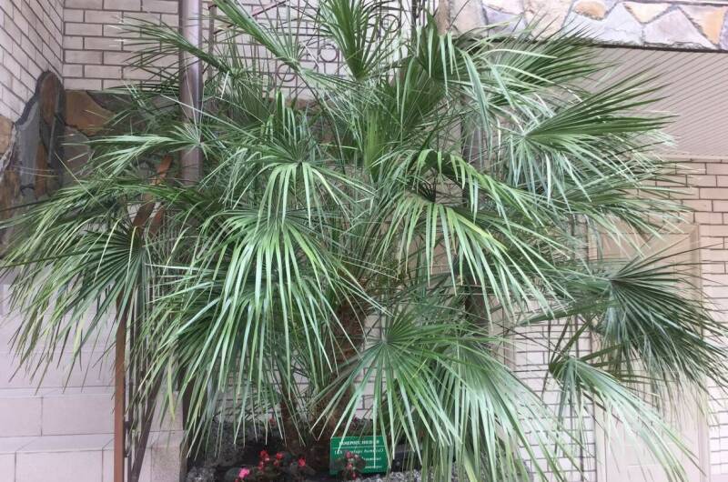 Гостевой дом «Аркадия»