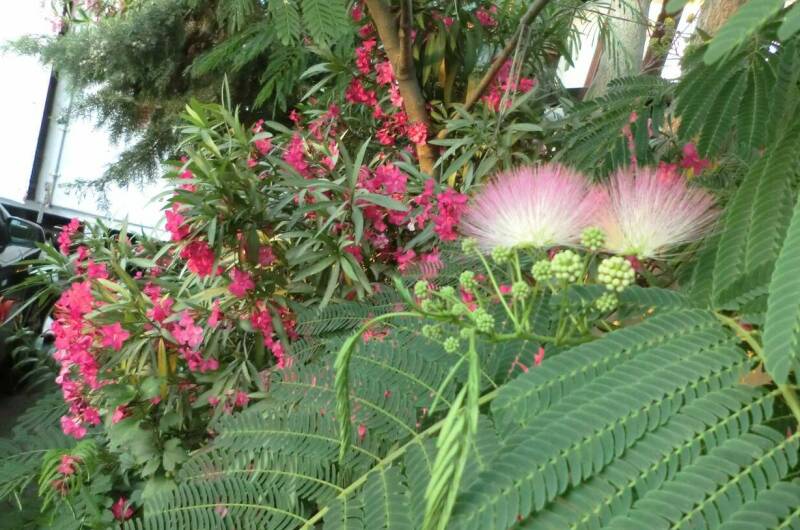 Частный сектор на Лазарева