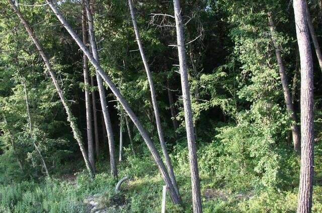 Частный дом «Сосновый Бор»