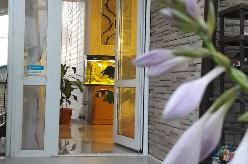 Гостевой дом «Sun-City»