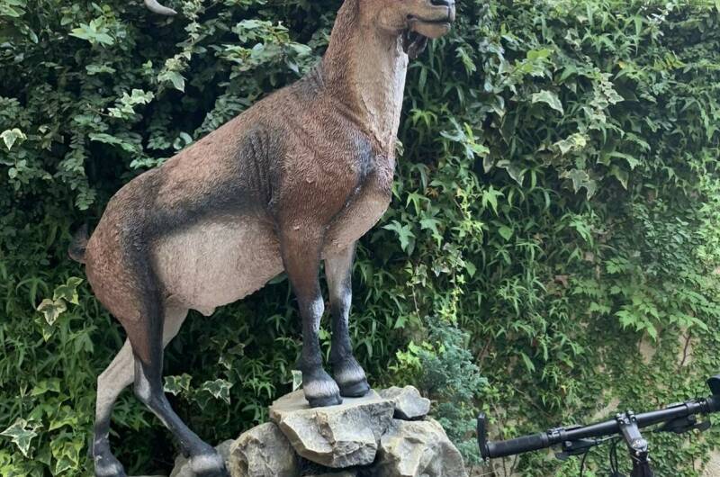 Гостиница «Светлана»