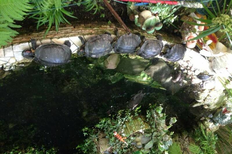 Гостиница «Светлана»