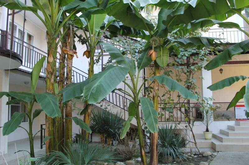 Гостиница «У Александра»