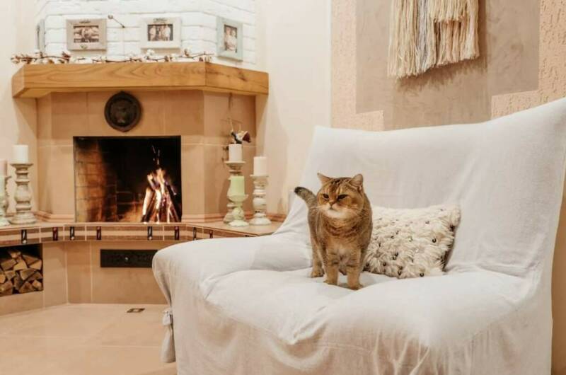 Гостиница «Золотой Лев»