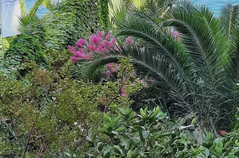 Гостевой дом «Мистраль»