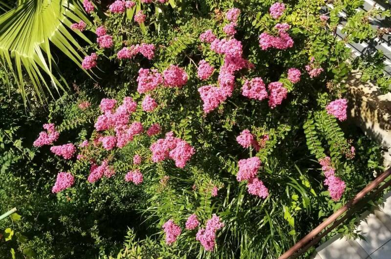 Гостевой дом «Мистраль»